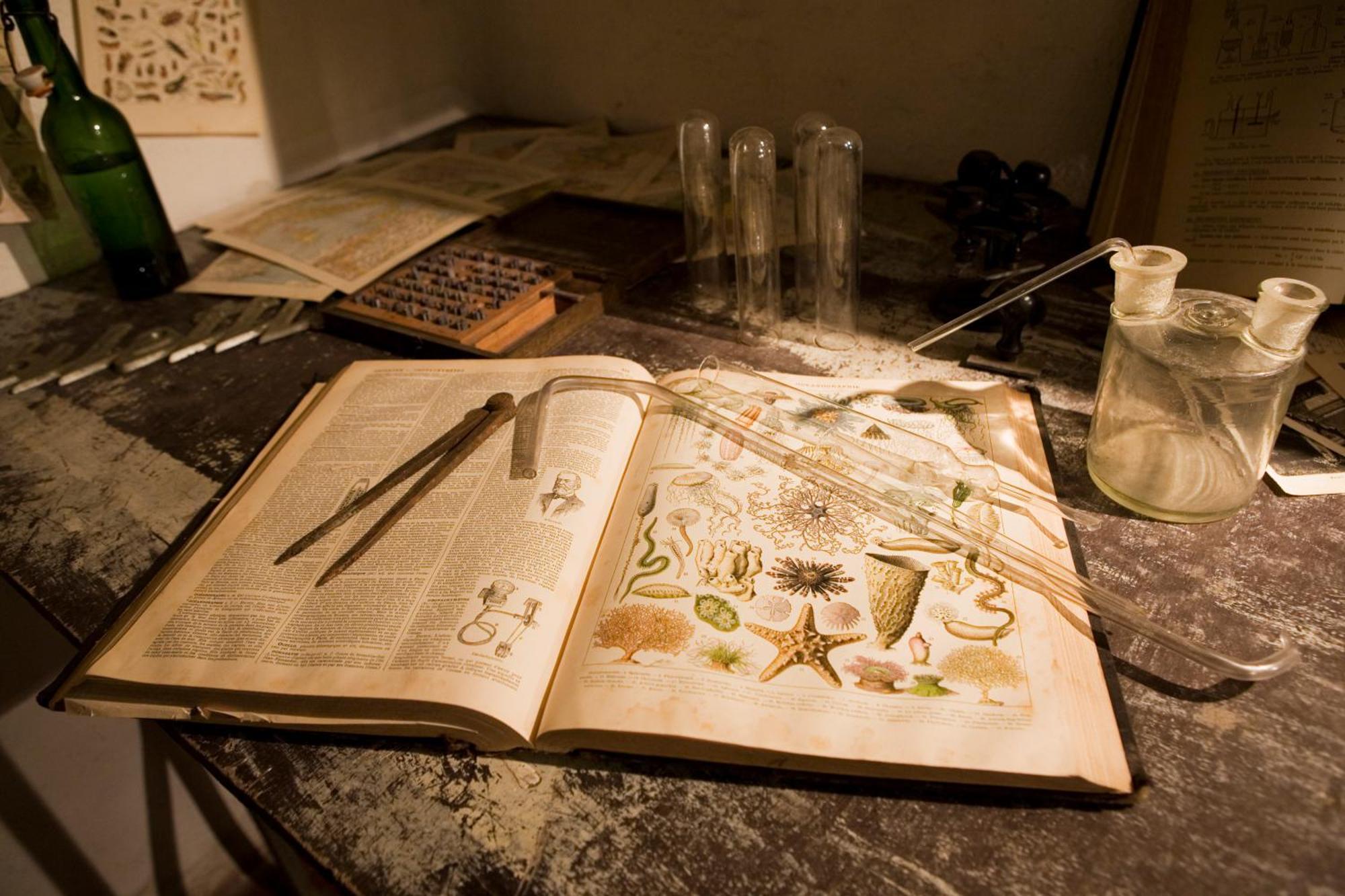 Appartamento Surprenantes- Jules Verne *